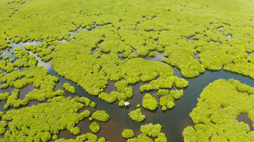 High angle view of leaf floating on water