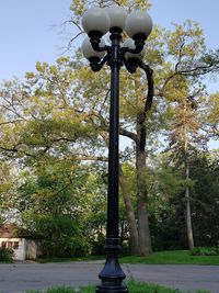 Low angle view of street light against trees in park