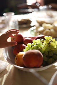 Close-up of hand holding fruits