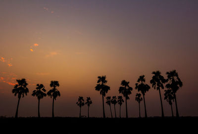 Silhouette palm trees against sky during sunset