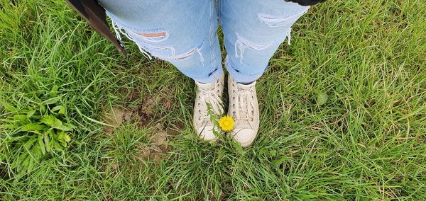 Low section of person standing on field