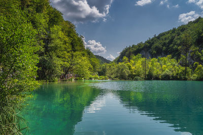 Scenic view of lake by trees against sky