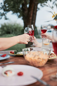 Family making toast during summer outdoor dinner in a home garden