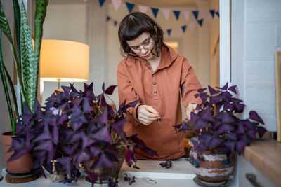 Girl plant lover removing dry purple leaves of oxalis plants at home.