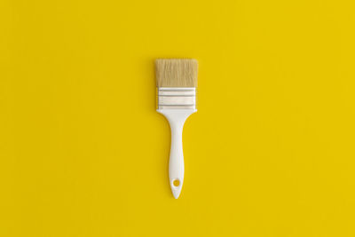 Paint brush on yellow background.