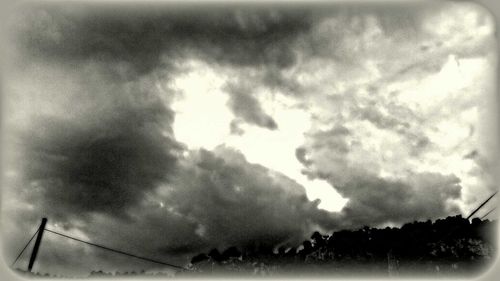 Low angle view of silhouette plants on field against sky