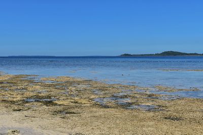 Scenic view of sea against clear blue sky