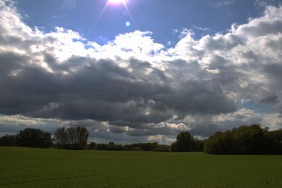 Scenic view of field against sky