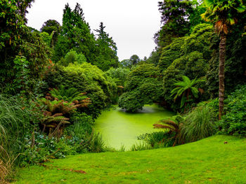 Scenic view of lake amidst trees against sky