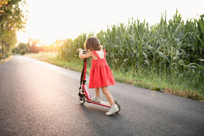 Rear view of little girl in red dress riding red scooter on a road next to corn field