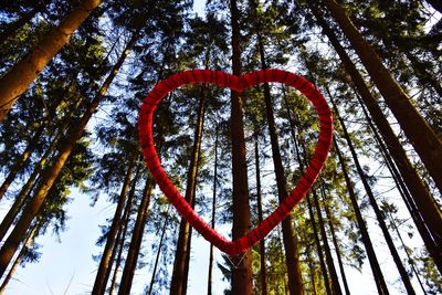 Low angle view of red hanging from tree