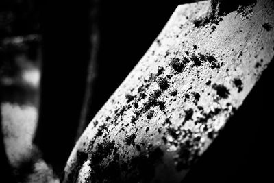black and white