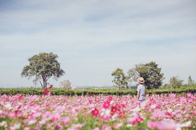 Woman standing by pink flower on field against sky