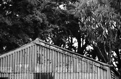 Low angle view of trees against building