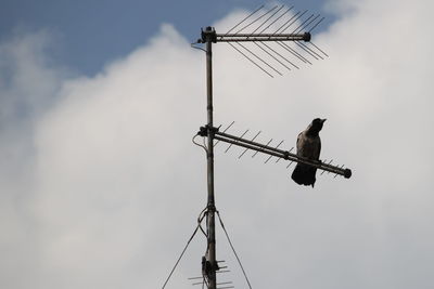 Low angle view of bird perching on cable against sky