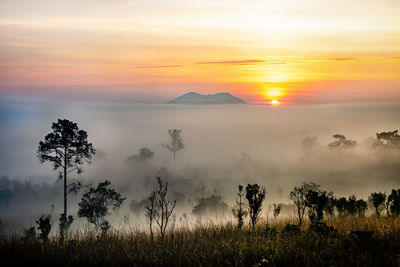 Scenic view of landscape against sky during sunset