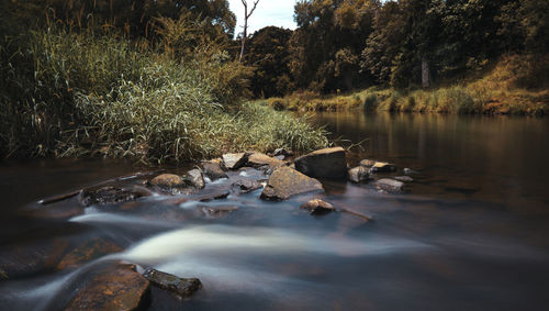 Scenic view of waterfall in forest