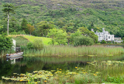 Scenic view of lake by trees and buildings