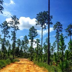 Road passing through landscape