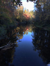 Reflection of trees in lake against sky