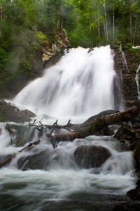 Scenic view of waterfall in forest