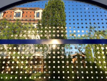 Close-up of plants against building