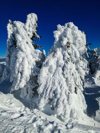 Natural snowman in winter,