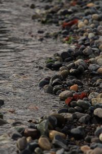 Surface level of pebbles at beach