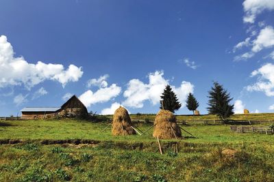 Houses on field against sky