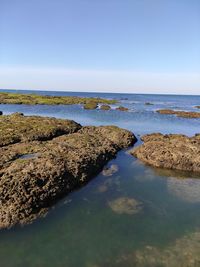 Scenic view of sea against clear sky