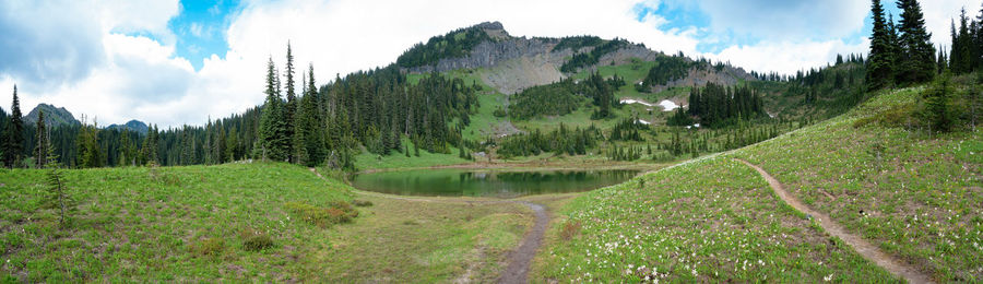 Panoramic view of lake and trees against sky