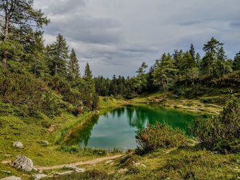 Scenic view of lake by trees against sky