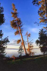 Scenic view of calm lake