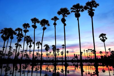 Silhouette palm trees by swimming pool against sky during sunset