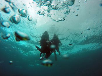 Scuba diving in sea. discover scuba dive.