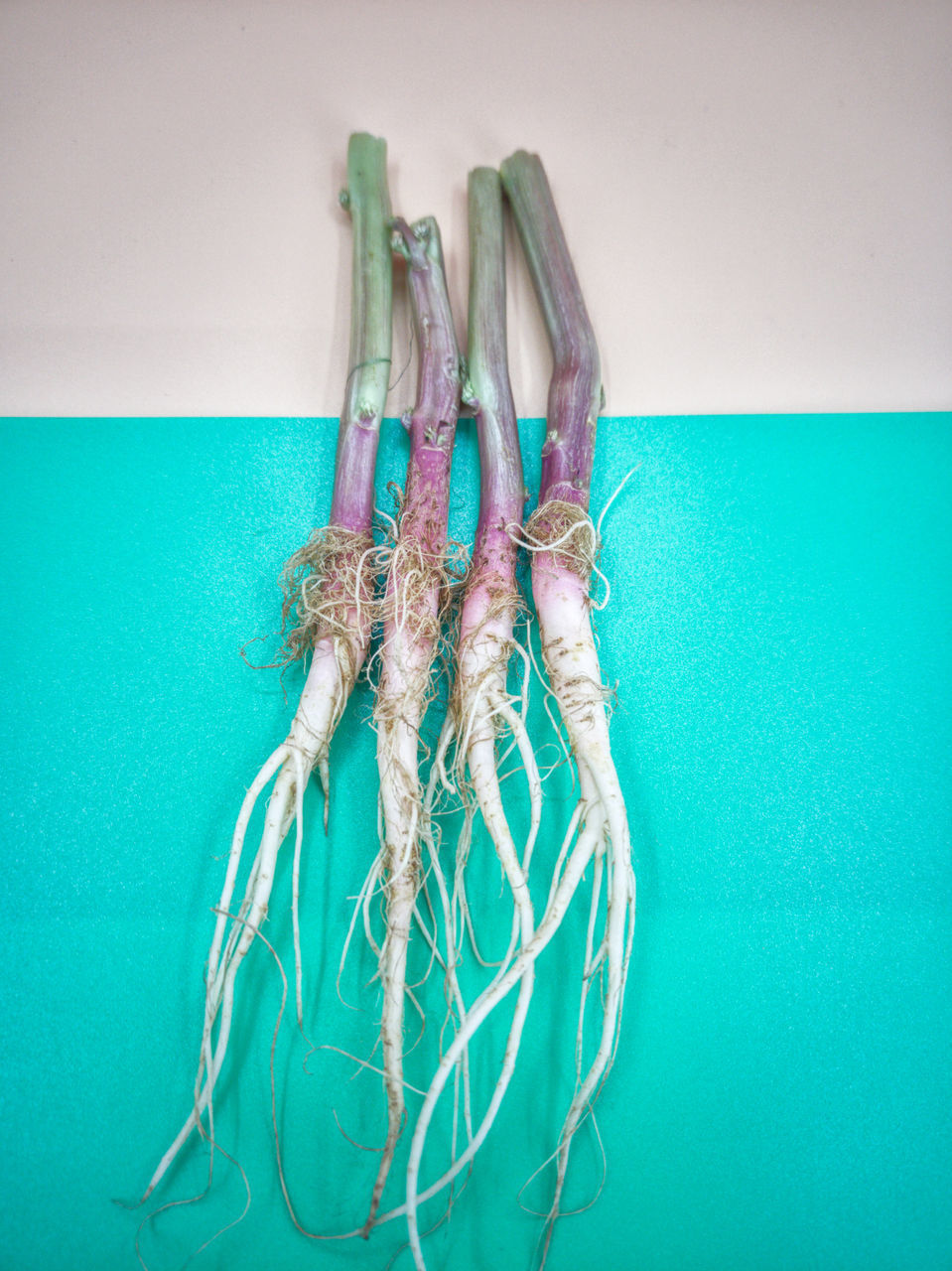 HIGH ANGLE VIEW OF ROPES ON BLUE TABLE