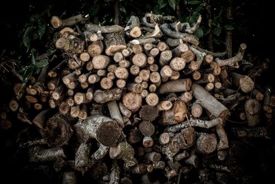 Stack of logs against plants