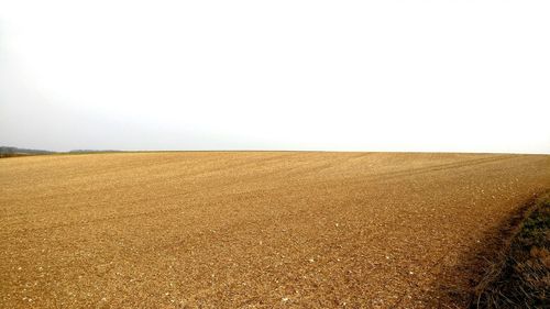 Scenic view of landscape against clear sky