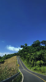 Road amidst trees against blue sky