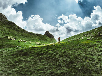 Scenic view of land against sky