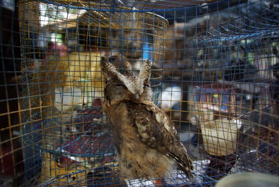 Close-up of cage in the dark