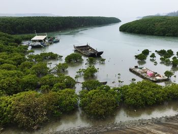 Boats in river amidst trees