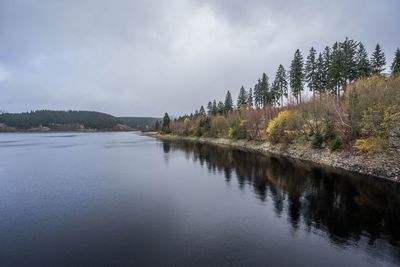 Scenic view of river in forest against sky