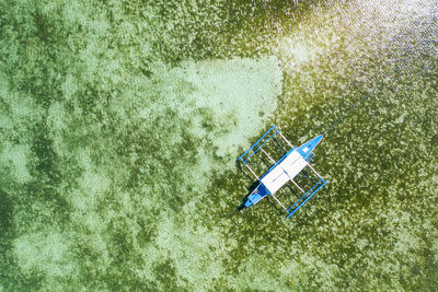 High angle view of plants in sea