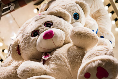 Close-up of stuffed toy