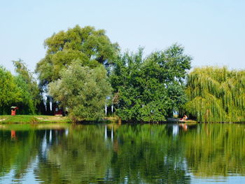 Reflection of trees in calm lake