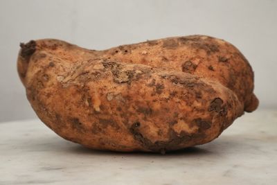 Close-up of bread on table against white background