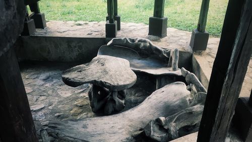High angle view of horse