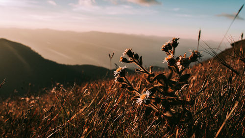 Pictures during trekking in the national park