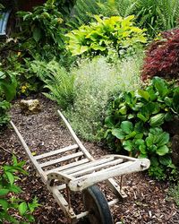 High angle view of bench in garden